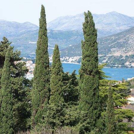 Spacious Apartment Near The Old Town Dubrovnik Exterior photo