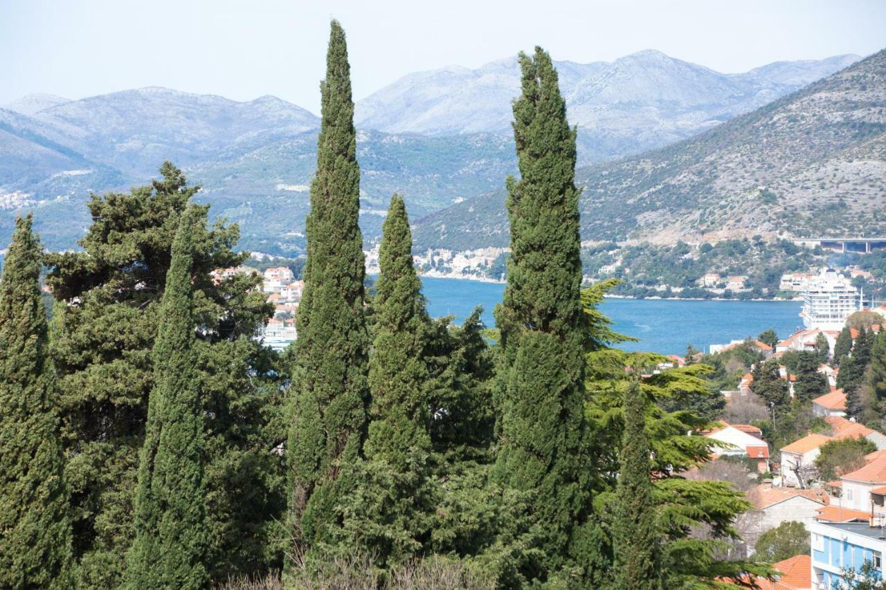 Spacious Apartment Near The Old Town Dubrovnik Exterior photo